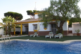 0514_Caballo_Albino Aussen  (1)