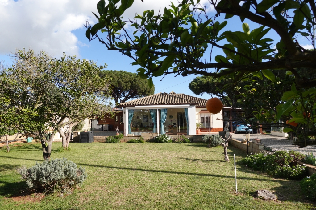 DSC05038-1024x682
