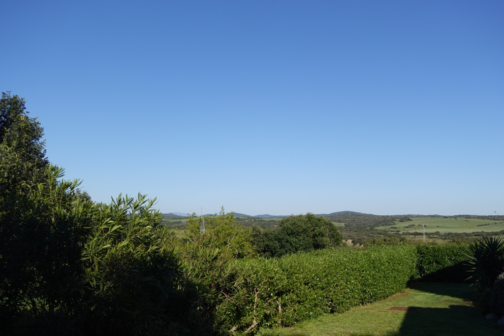 DSC05389-1024x682