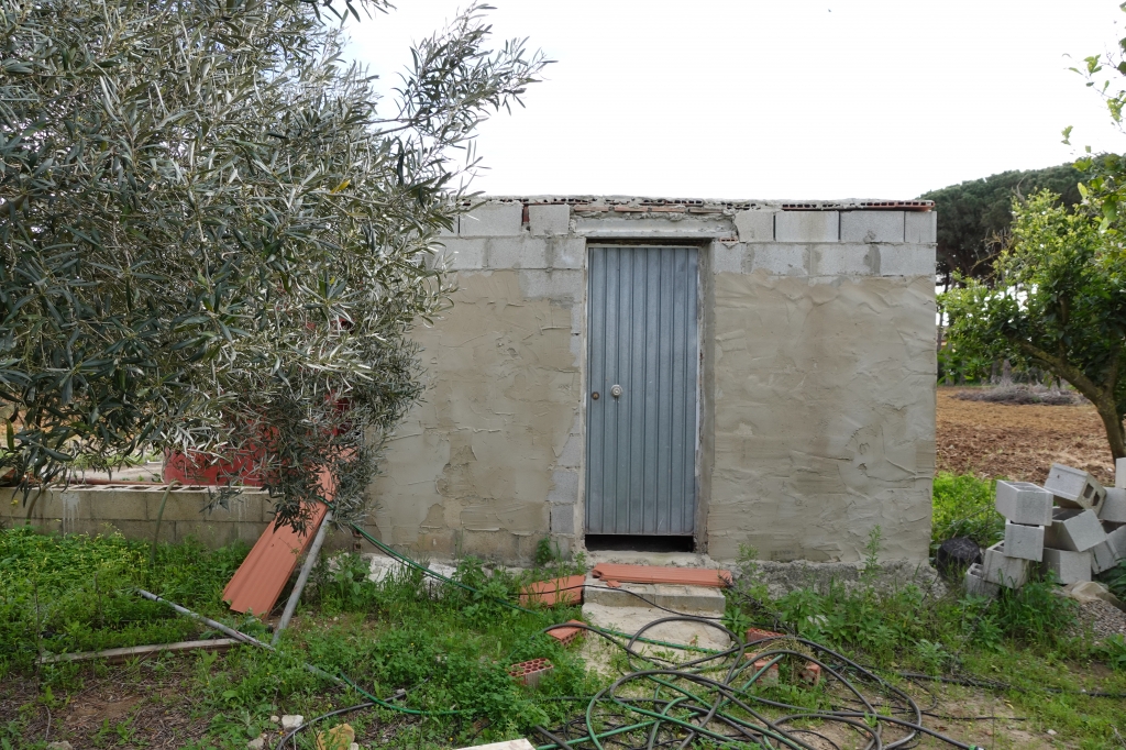 DSC00632-1024x682