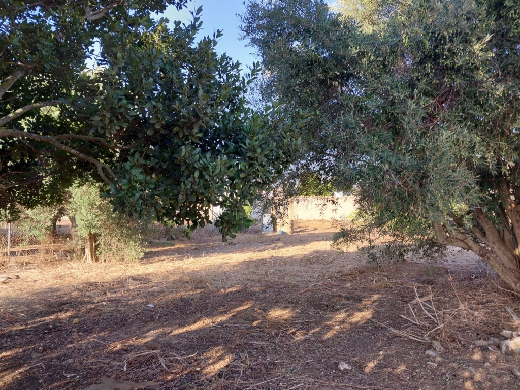 WhatsApp-Bild-2025-10-16-um-12.59.15_38f492f8-1024x768