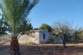 WhatsApp Bild 2025-10-16 um 12.59.17_1bf7ca0f