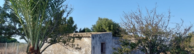 WhatsApp Bild 2025-10-16 um 12.59.17_1bf7ca0f