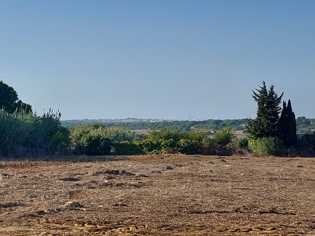 WhatsApp-Bild-2025-10-16-um-12.59.18_58c90436-1024x768