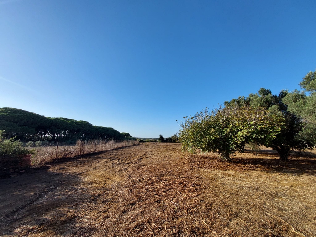 WhatsApp-Bild-2025-10-16-um-12.59.19_4fa6b165-1024x768