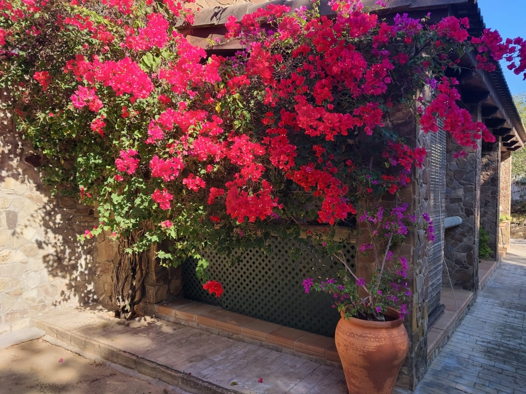 WhatsApp-Bild-2025-11-10-um-14.20.17_799da5ef-1024x768