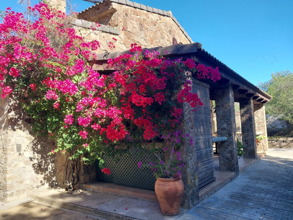 WhatsApp-Bild-2025-11-10-um-14.20.17_fa776798-1024x768