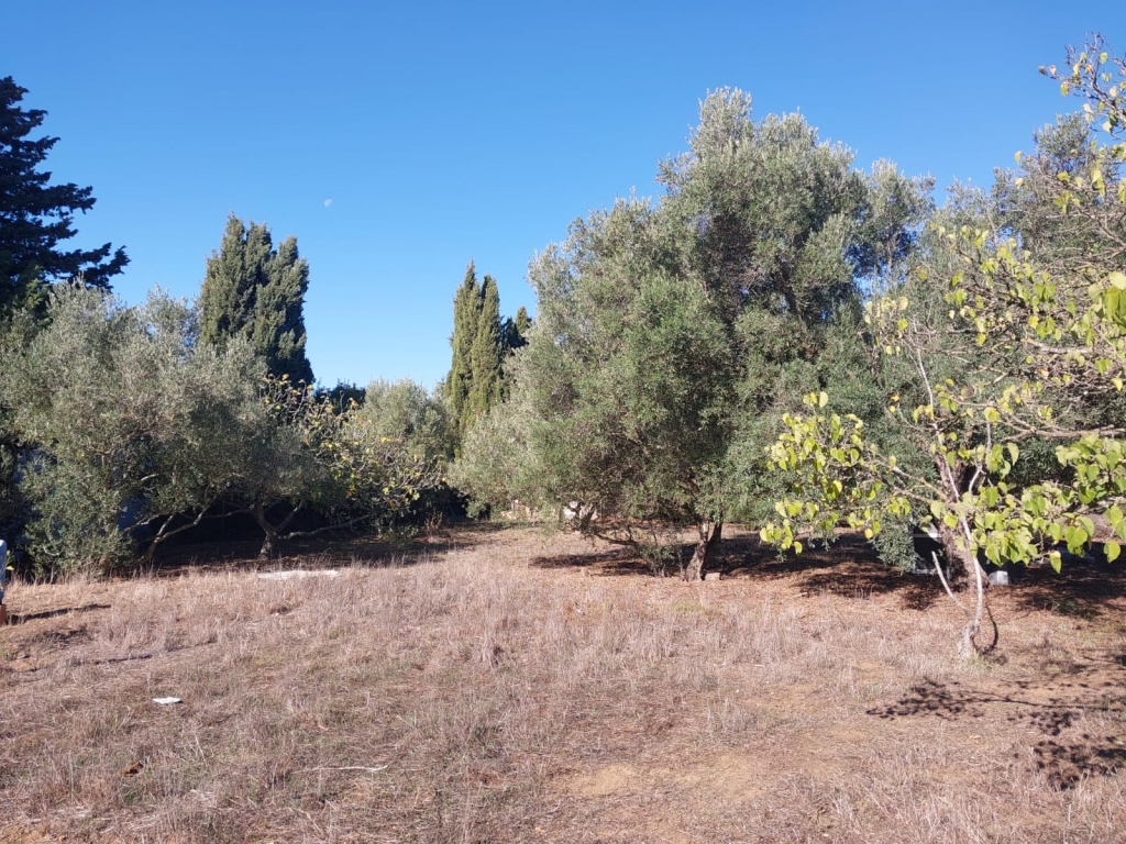 WhatsApp-Bild-2025-11-10-um-14.20.41_c981694d-1024x768