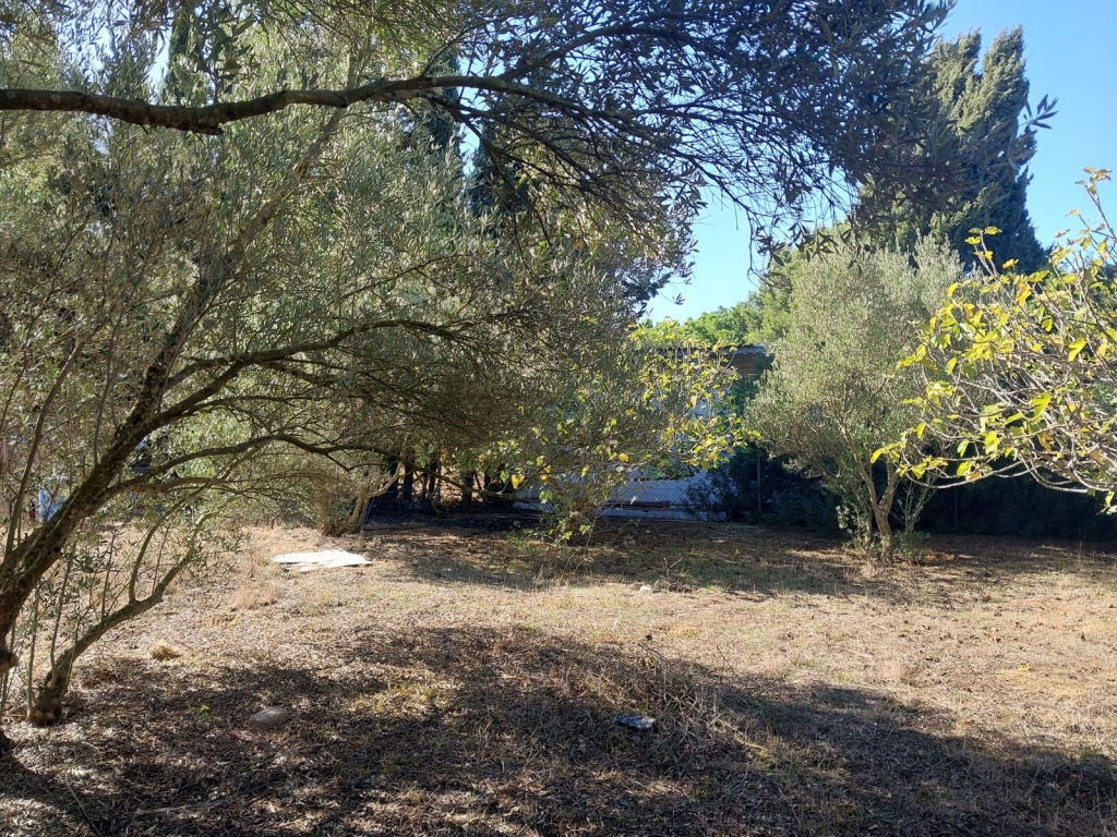 WhatsApp-Bild-2025-11-10-um-14.20.41_ea576667-1024x768