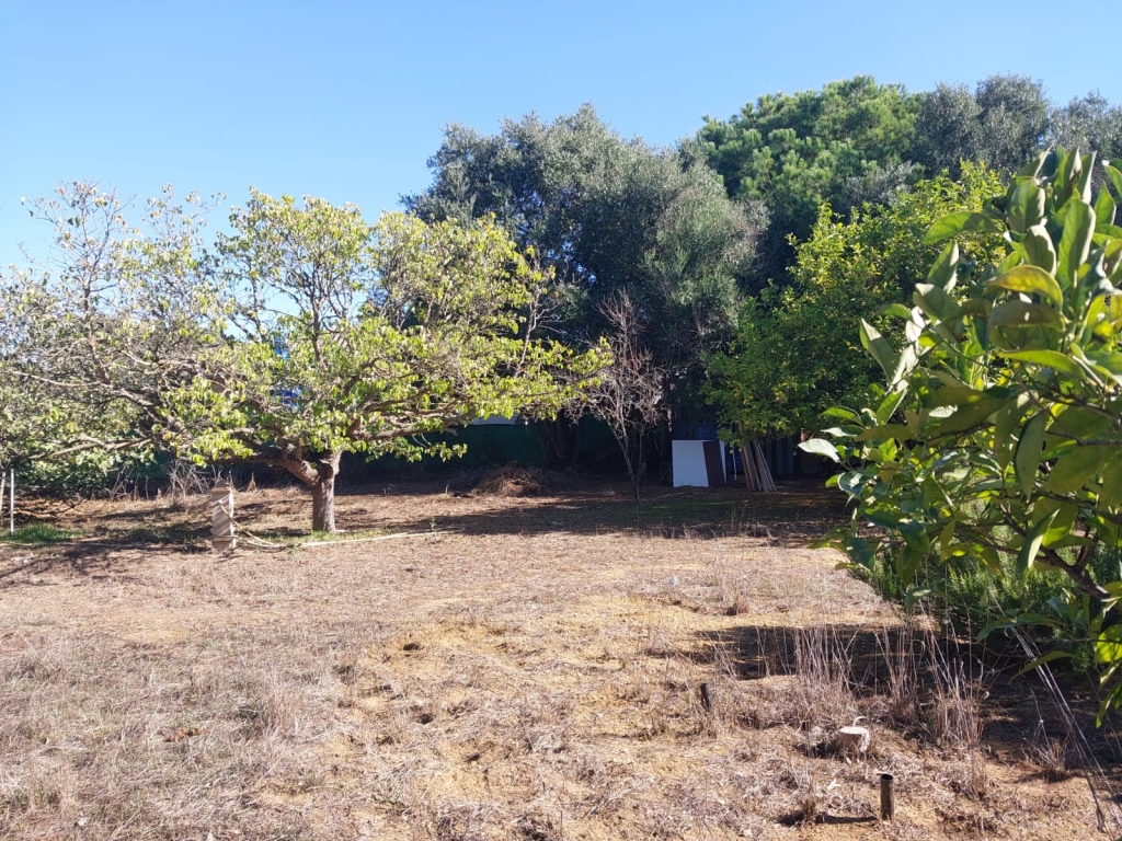 WhatsApp-Bild-2025-11-10-um-14.20.41_eca12453-1024x768