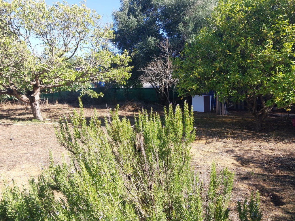 WhatsApp-Bild-2025-11-10-um-14.20.41_f88bc503-1024x768