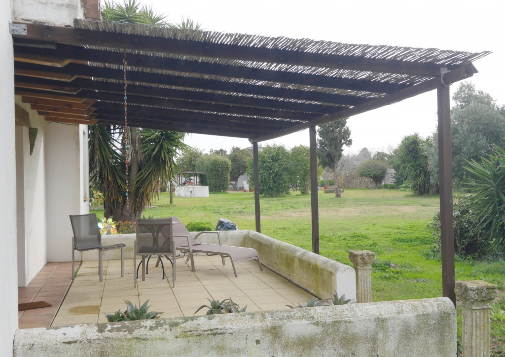 WhatsApp-Image-2026-01-25-at-16.04.08-1024x725