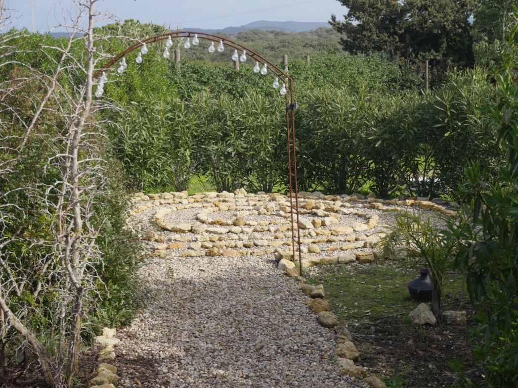 WhatsApp-Image-2026-01-25-at-16.05.42-1024x768