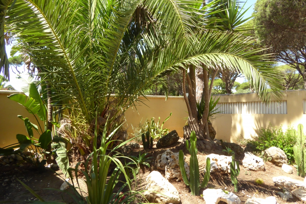 0561_Casa_Don_Kamil_Aussen-14-1024x682