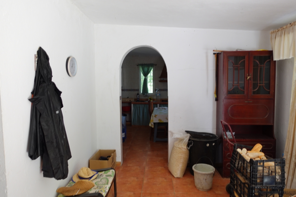 DSC08431-1024x682