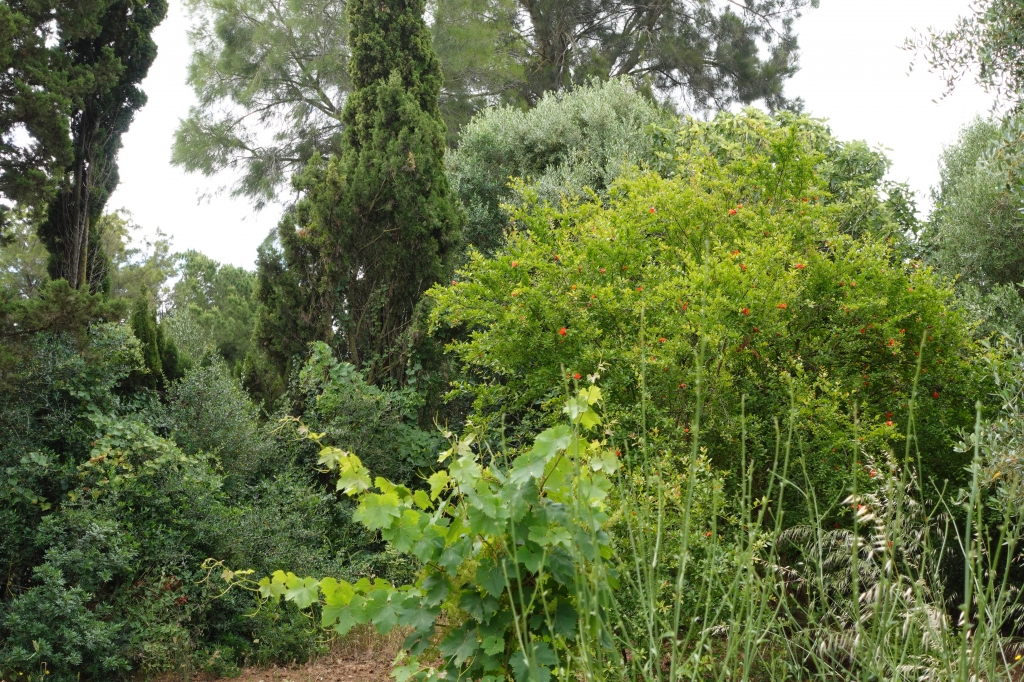 DSC08463-1024x682