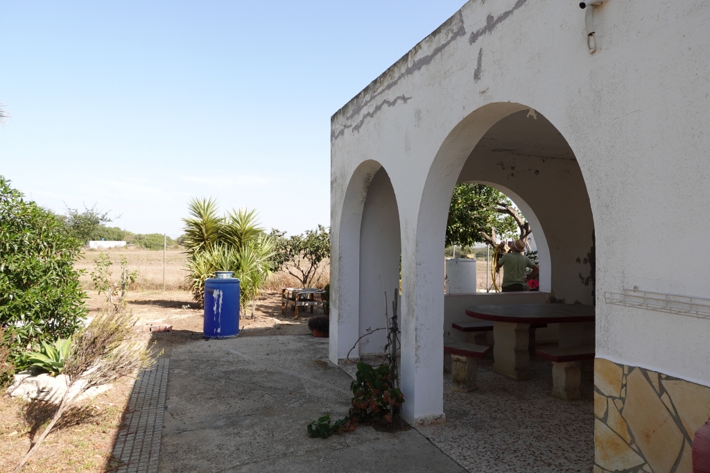 DSC08504-1024x682